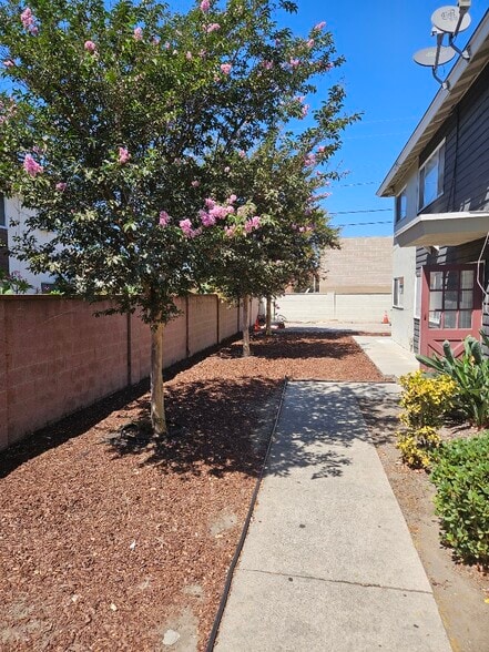 Side/Back yard - 2331 W West Ave