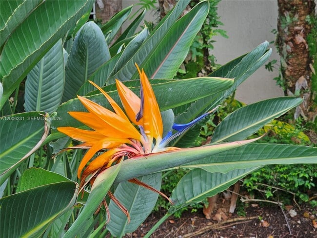 Building Photo - 20400 W Country Club Dr