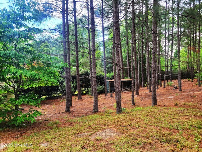 Building Photo - 316 Stornoway Dr