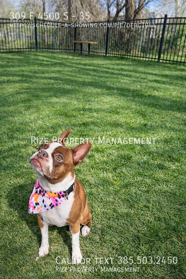 Building Photo - 309 E 4500 S