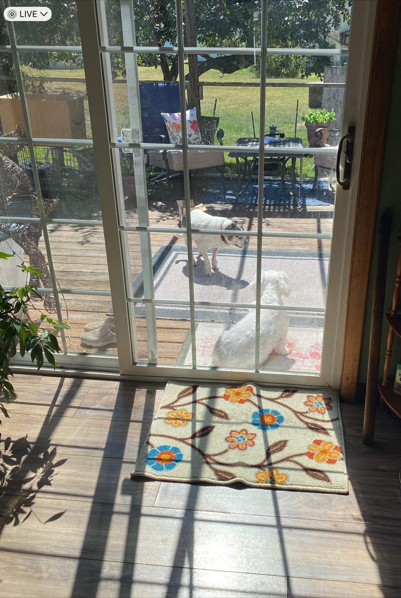 Building Photo - 1420 3rd Ave