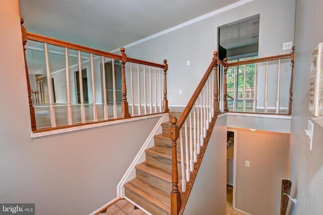 Building Photo - 311 Beech St