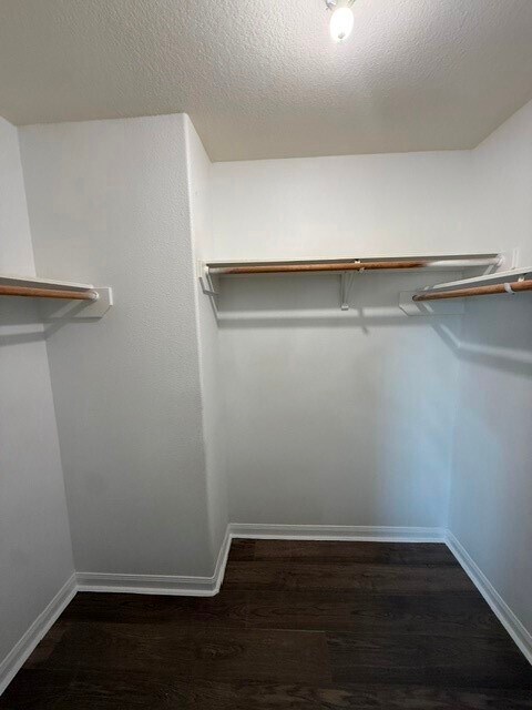 Building Photo - 17335 Osprey Forest Dr