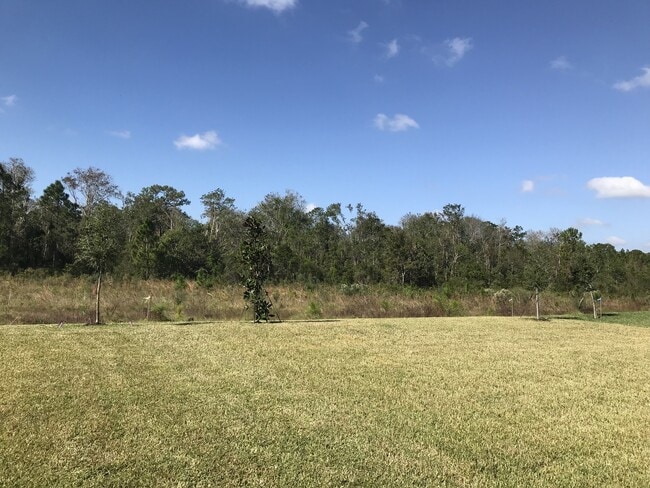 Building Photo - NEWER 3/2 Plus Den Home at The Oaks in Mos...