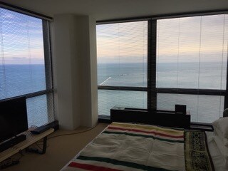 Building Photo - 910 N Lake Shore Dr
