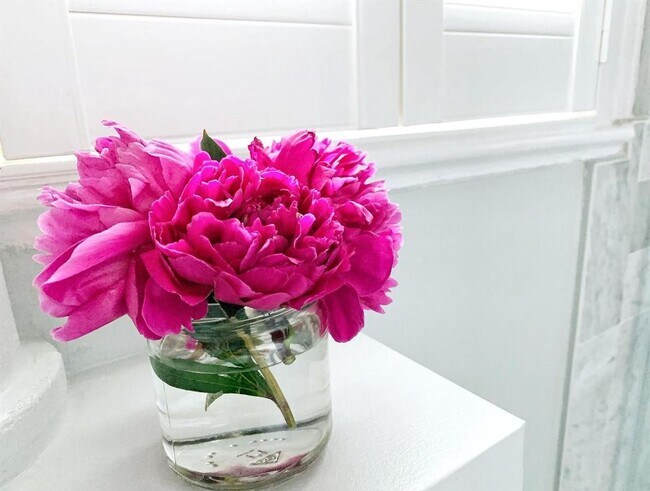 Building Photo - Spacious & Charming Victorian Row House in Burleith-Moments from Georgetown!