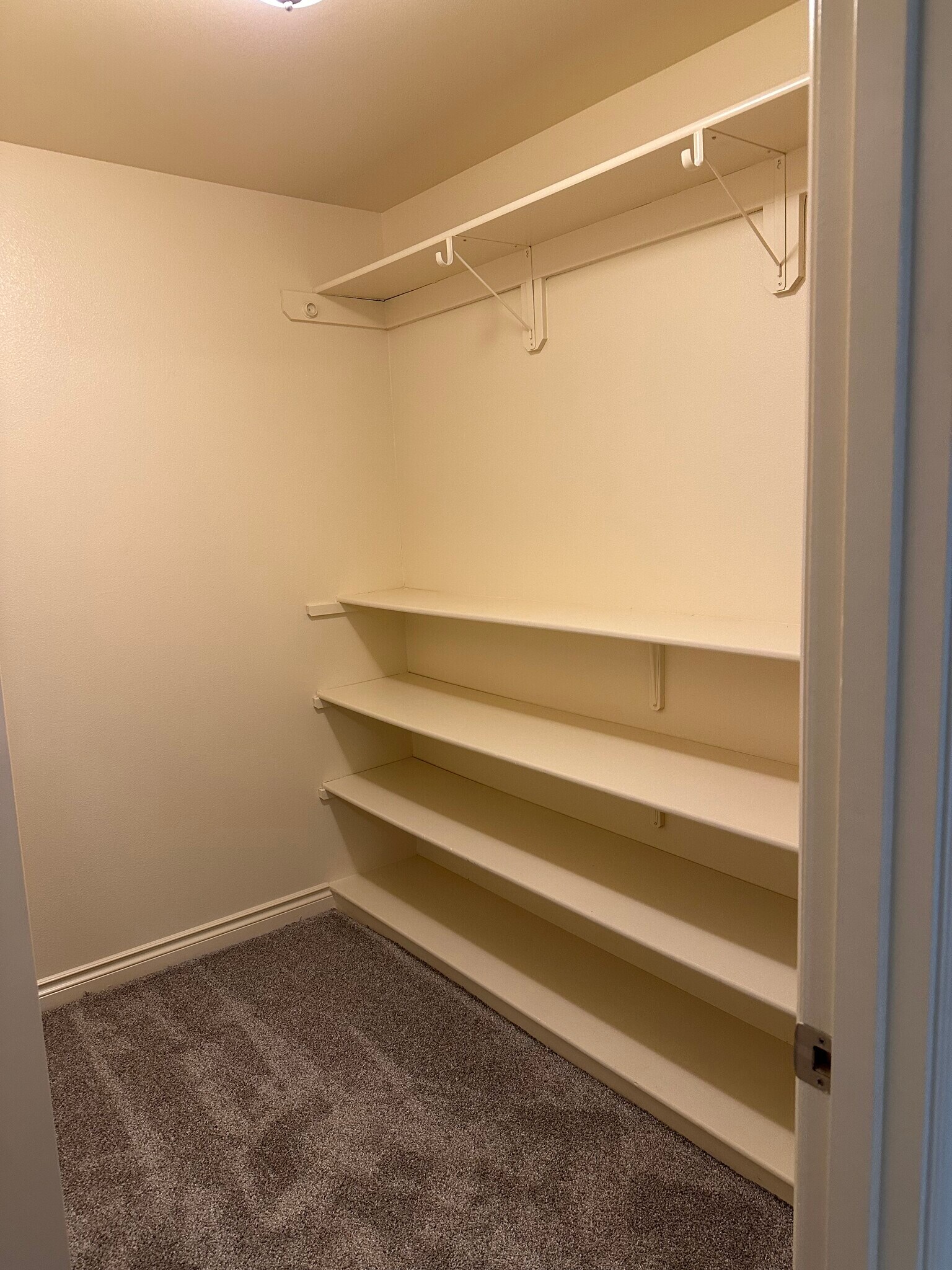 Master Walk-In Closet - 2843 S Avalon Cir