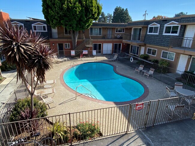 Pool - 750 Brahms Way