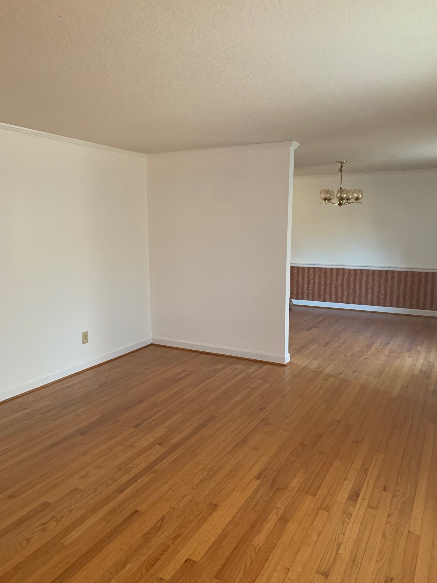 Building Photo - 8913 Oneal Rd