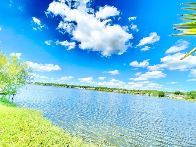 Building Photo - Stunning Lake View Home in Waterside Estate!