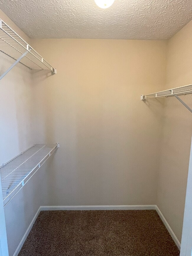 Building Photo - 2317 Vicente Ct