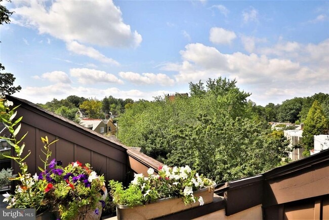 Building Photo - 8 Rex Ave