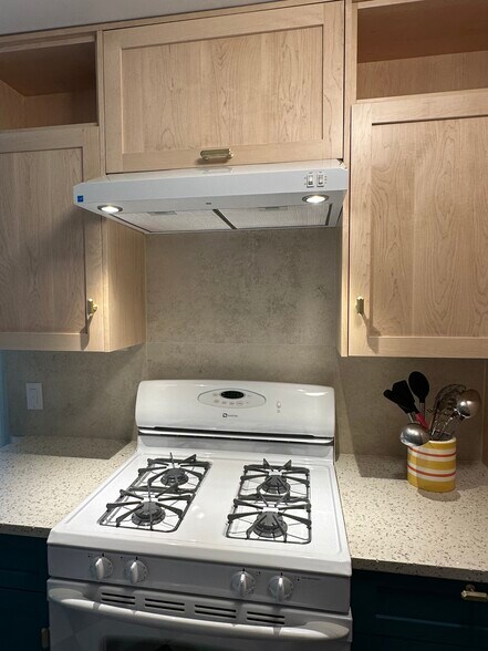 New event hood. - 174 Hemingway Ct