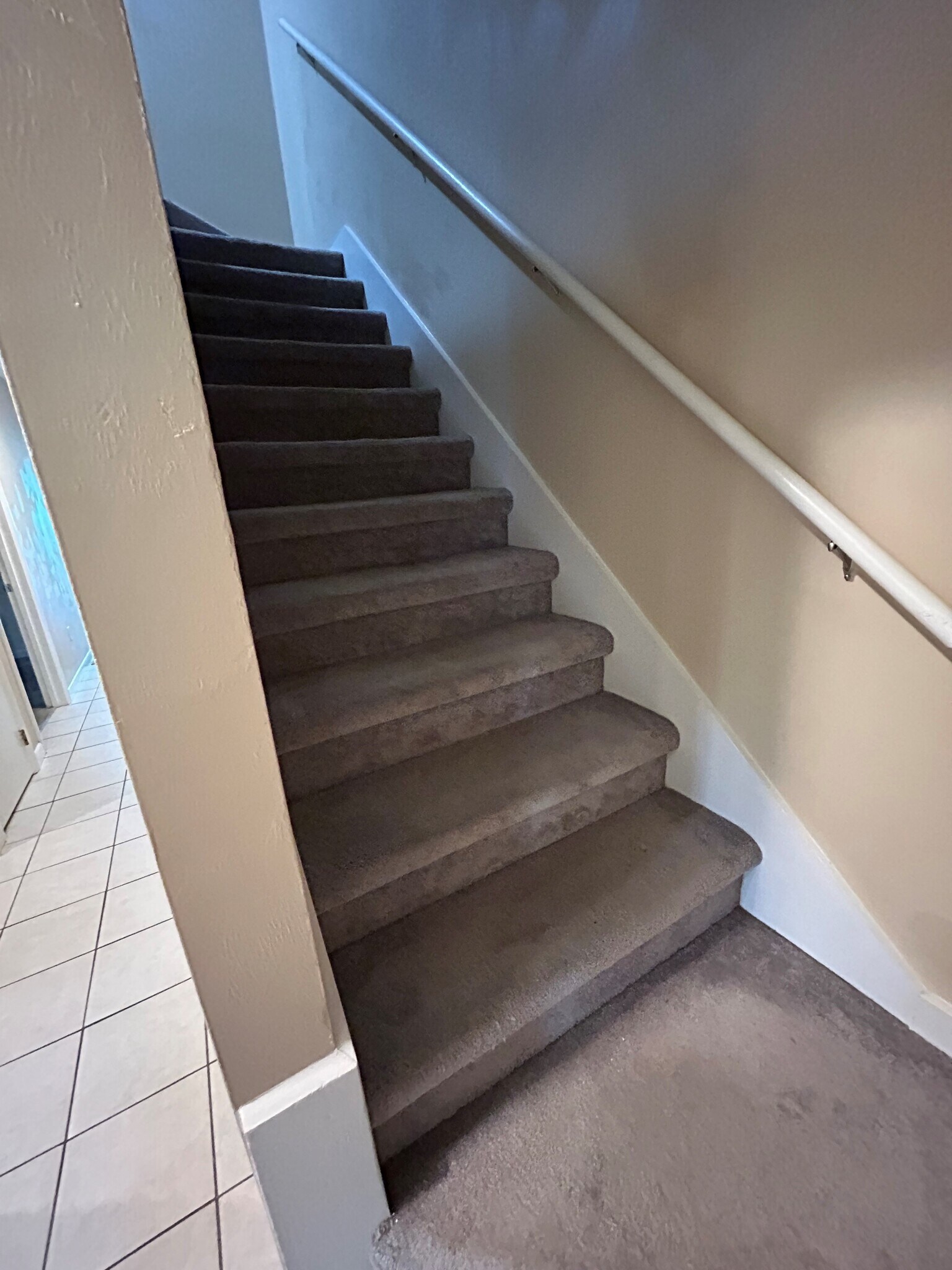 Stairs - 1488 Mitchell Ave