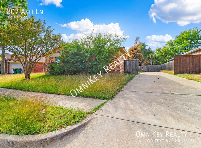 Building Photo - 807 Ash Ln