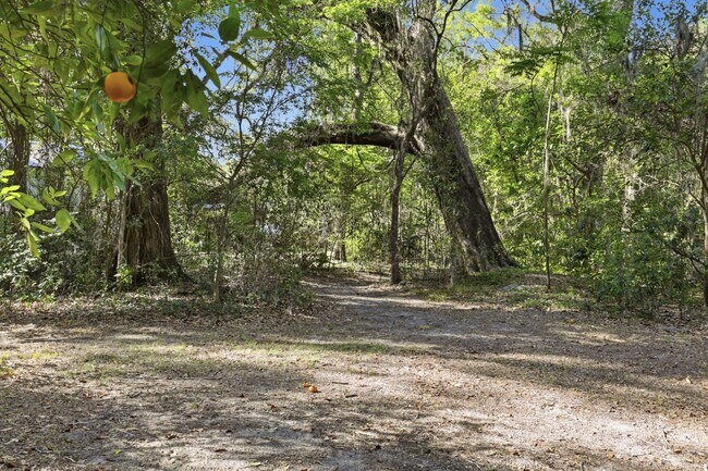 Building Photo - 4 Bedroom, 3 Bath House on 1 Acre in Fox Grove