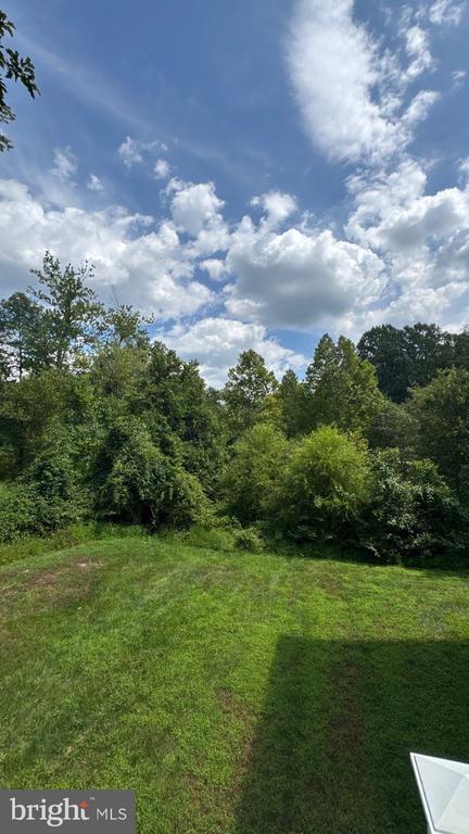 Building Photo - 4165 Tiber Falls Dr