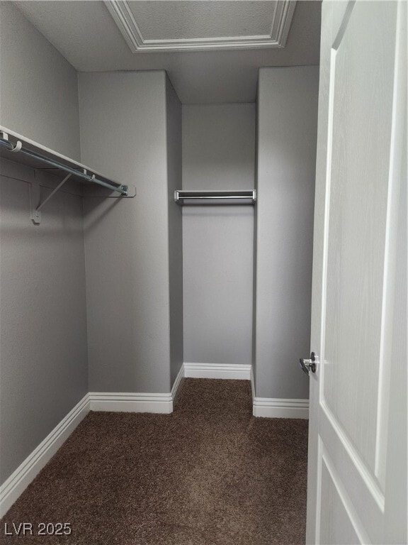 Building Photo - 3212 Regal Swan Pl