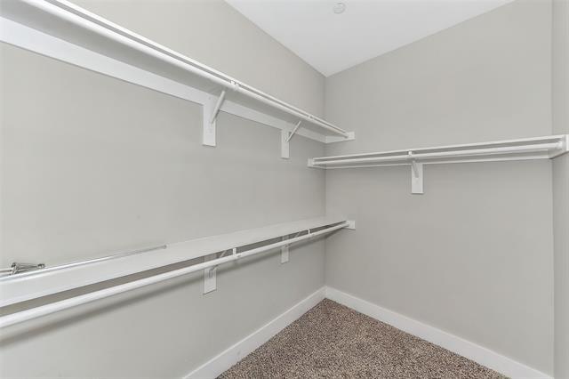 Building Photo - 3604 Aaron Pl