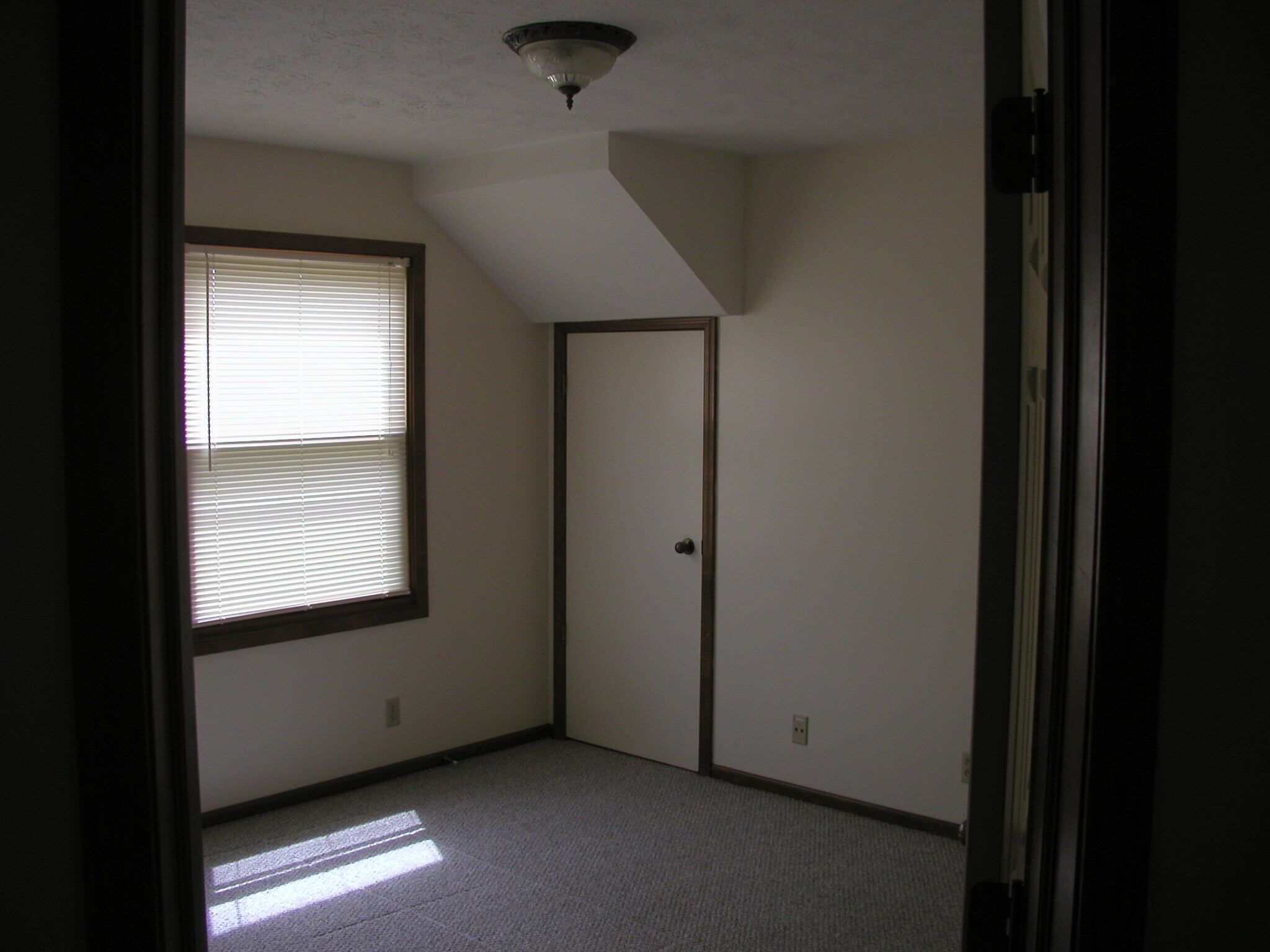 Lower level bedroom/office - 13305 Discovery Dr