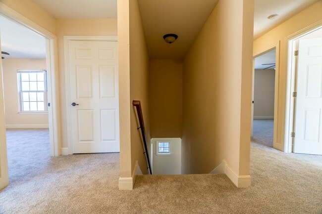 Building Photo - Four Bedroom Home Walking Distance to UofA! Lawn Care Included! AVAILABLE IN JULY!!!!!