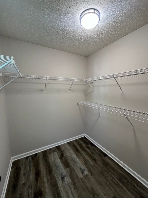 Building Photo - 8216 Christmas Ct