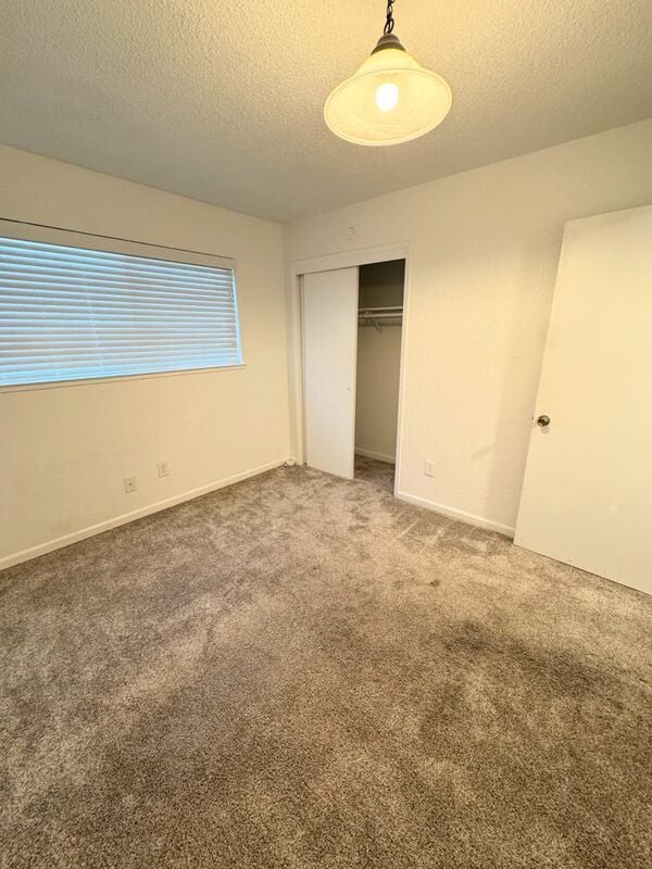 Building Photo - 4846 Wiedman Way