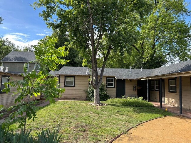 Building Photo - Spacious 1 Bedroom Apartment