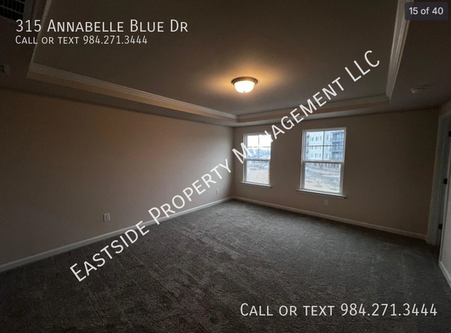 Building Photo - 315 Annabelle Blue Dr