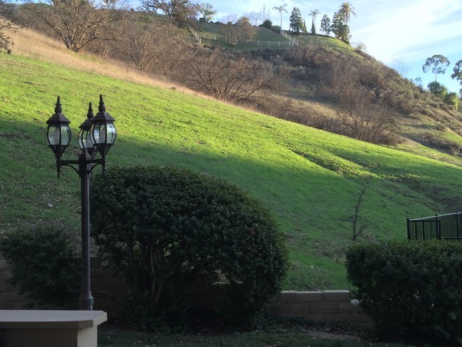 Serene Rolling Hills - 26008 Alizia Canyon Dr