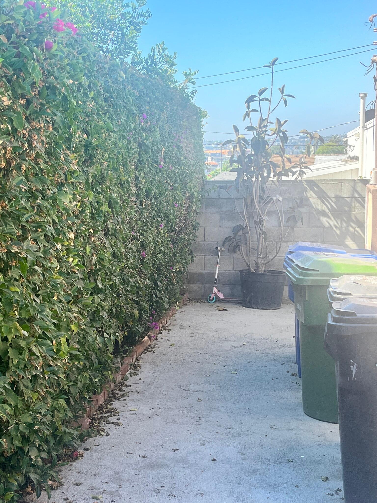 Building Photo - 2500 S Bronson Ave