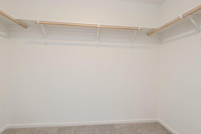 Building Photo - 10812 Bird Of Paradise Ln