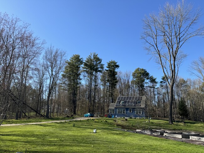 Raised beds for food growing - 269 Merrill Rd