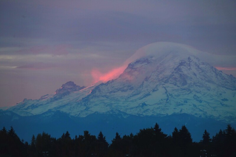 Building Photo - 9429B 18th Ave SW