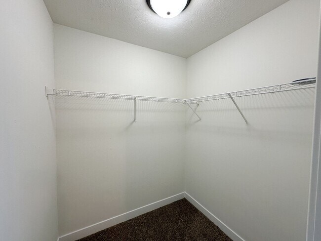 Building Photo - 3113 Chardonnay Ct