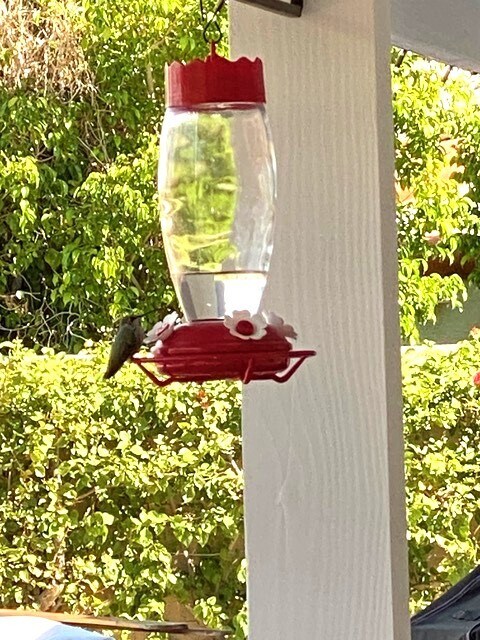 Building Photo - 47873 Sun Corral Trail