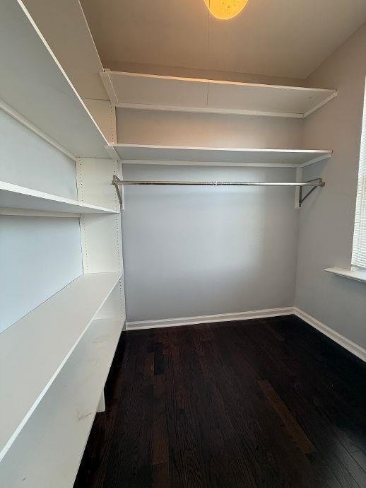 Building Photo - 125 W 3rd St