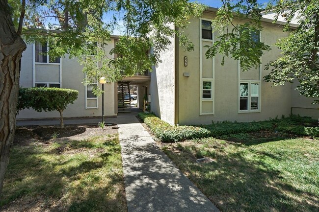 Building Photo - 250 Chilpancingo Pkwy