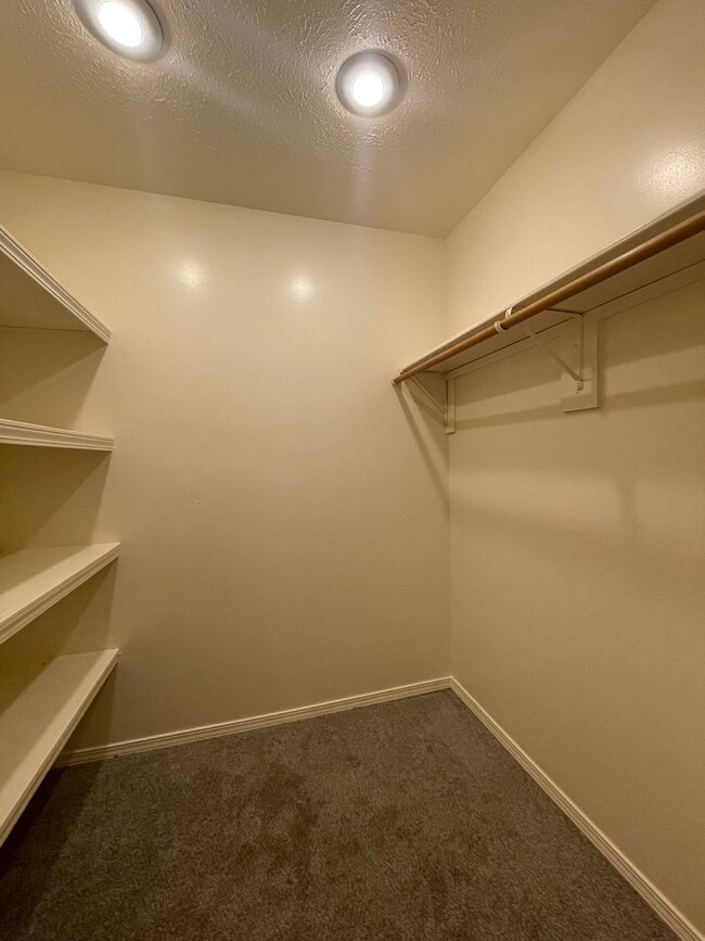 Building Photo - Southern Hills 3 Bedroom 2 Bath Duplex-New carpet and new flooring in the bathrooms