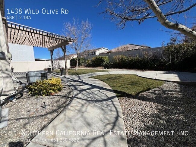 Building Photo - 1438 Wild Olive Rd