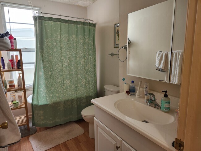 Main Bathroom - 224 W 3rd Ave