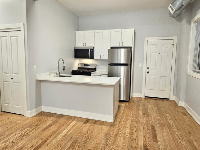 Building Photo - 1 bedroom in Chicago IL 60642