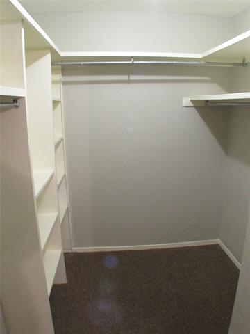 Building Photo - 10406 Shadow Bend Dr