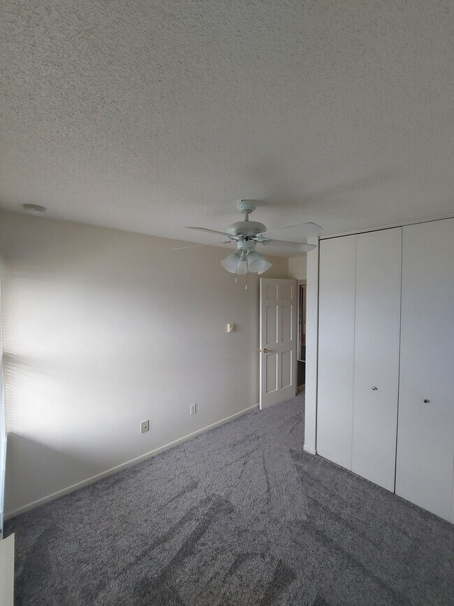 Upgraded carpet, paint and fixtures - 530 Korb St
