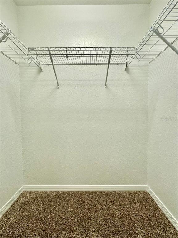 Building Photo - 9634 Tocobaga Pl