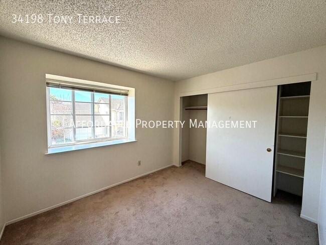 Building Photo - 34198 Tony Terrace