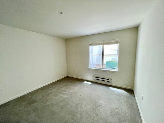 Building Photo - 2BR/2BA North Beach Condo W/Private, Huge Terrace, Parking! In-Unit Laundry! Storage! PROGRESSIVE