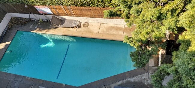 SWIMMING POOL - 723 Westmount Dr