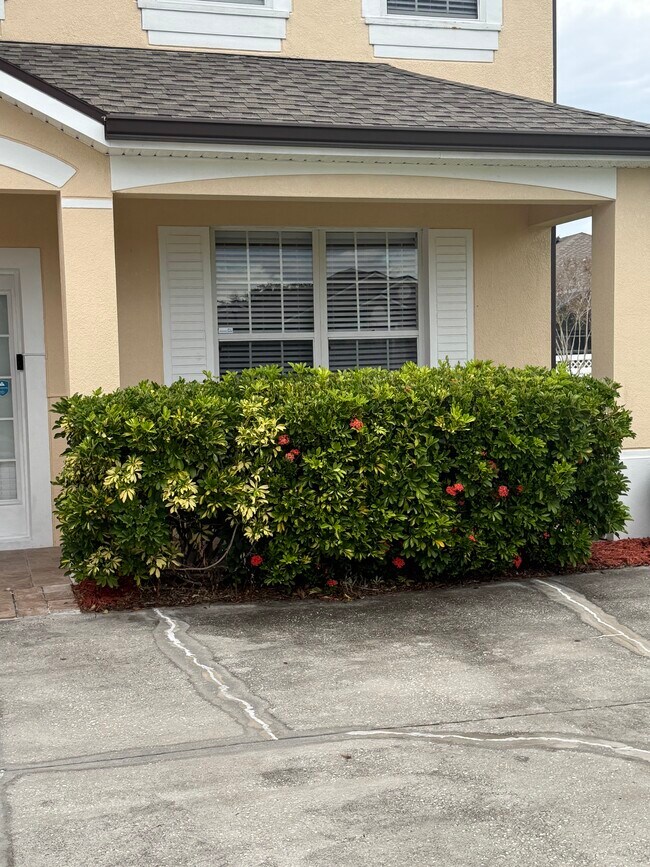 Building Photo - 2914 River Birch Dr