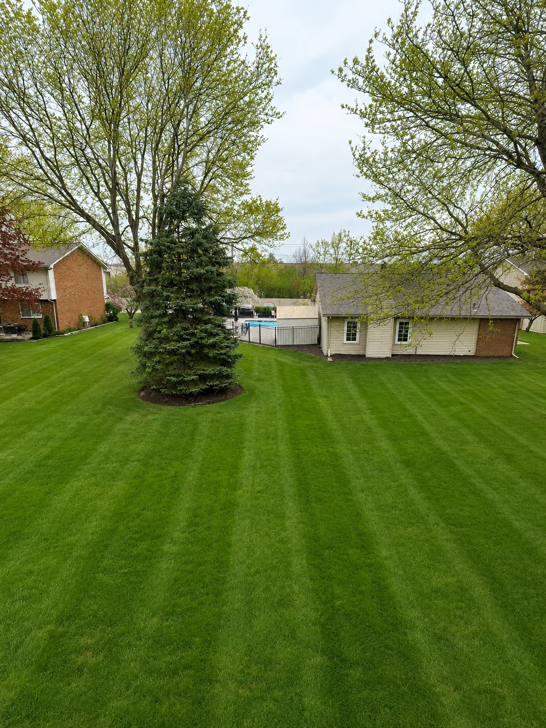 Backyard - 901 Kirts Blvd